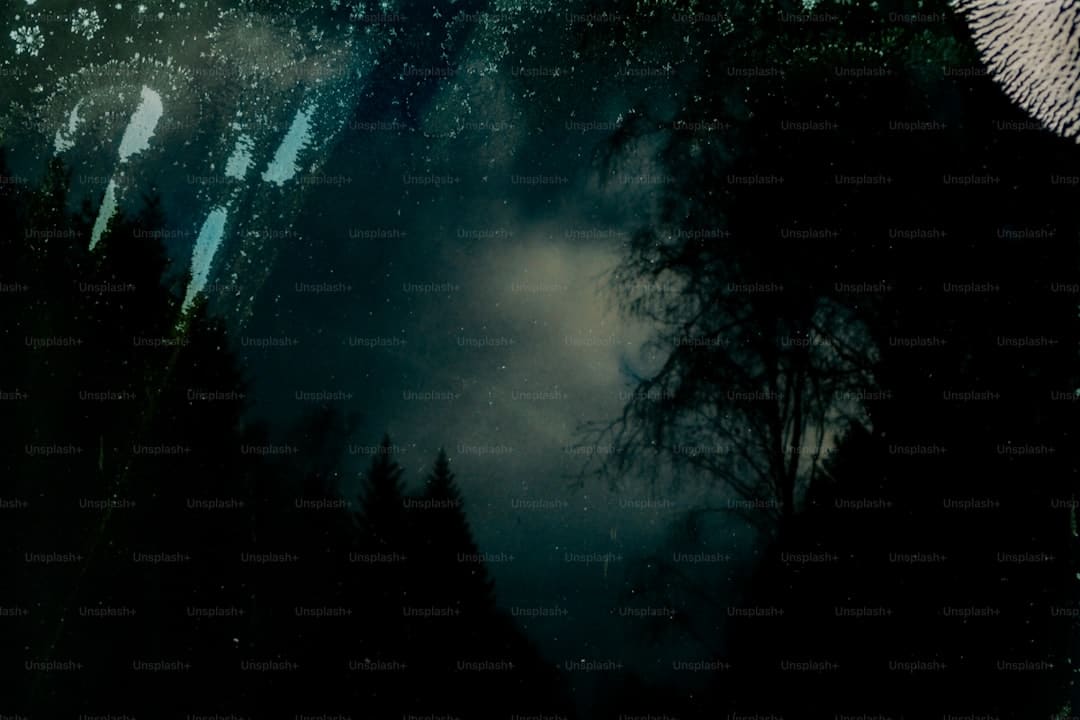 亚运膏壤开出奥运之花 丨 又一严重世界赛事落户宁波象山